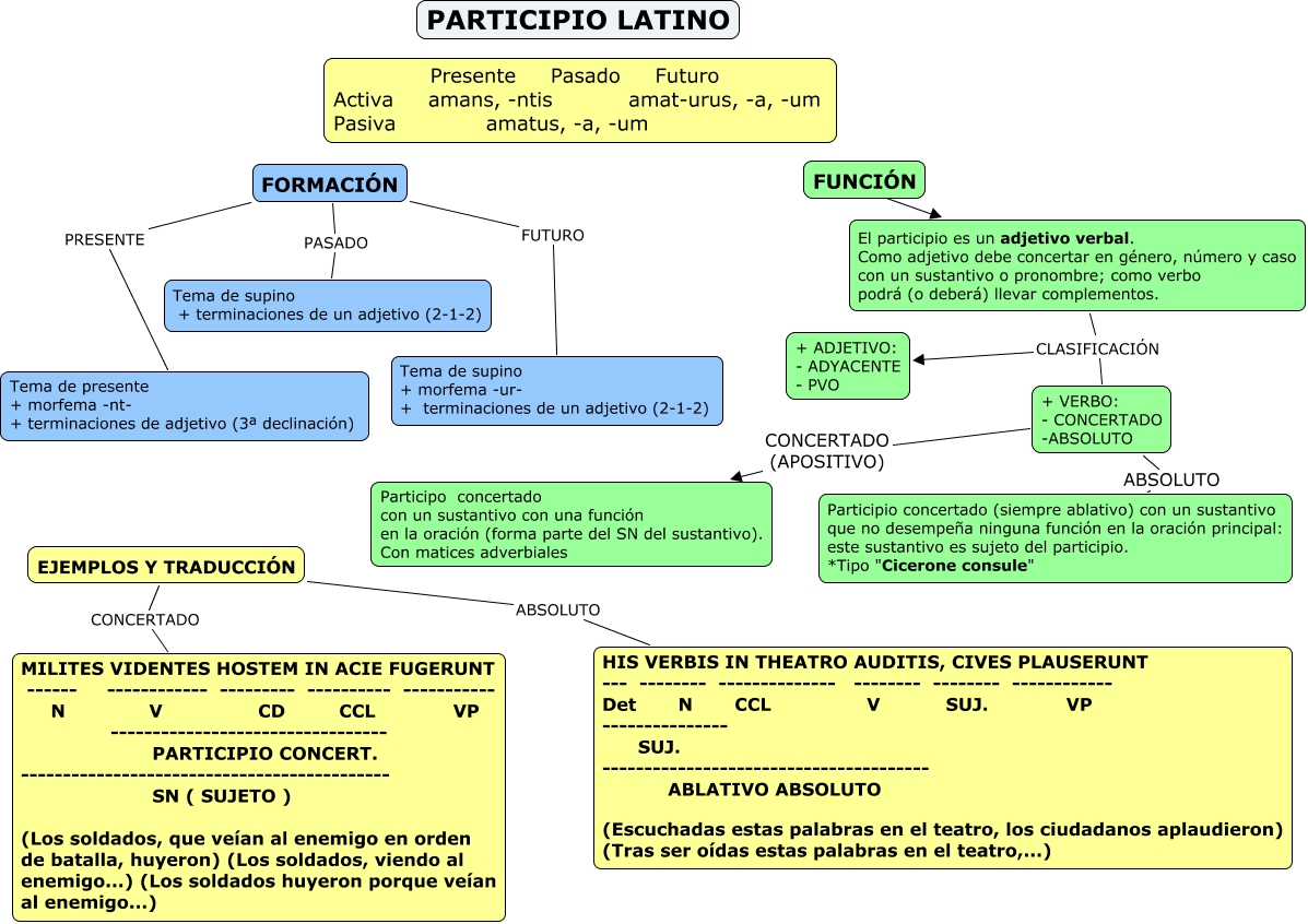 Esquema De Paricipio Latino